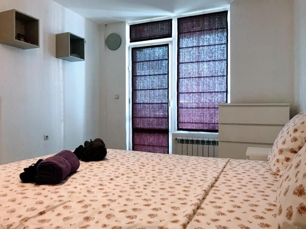 Apartment Sunny 1- Bdr In Banishora District Sofia