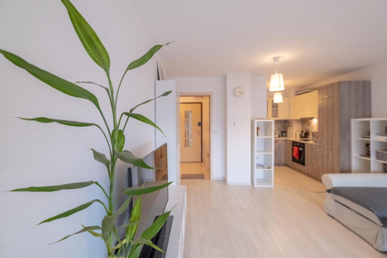 Sunny 1- Bdr In Banishora District * Sofia