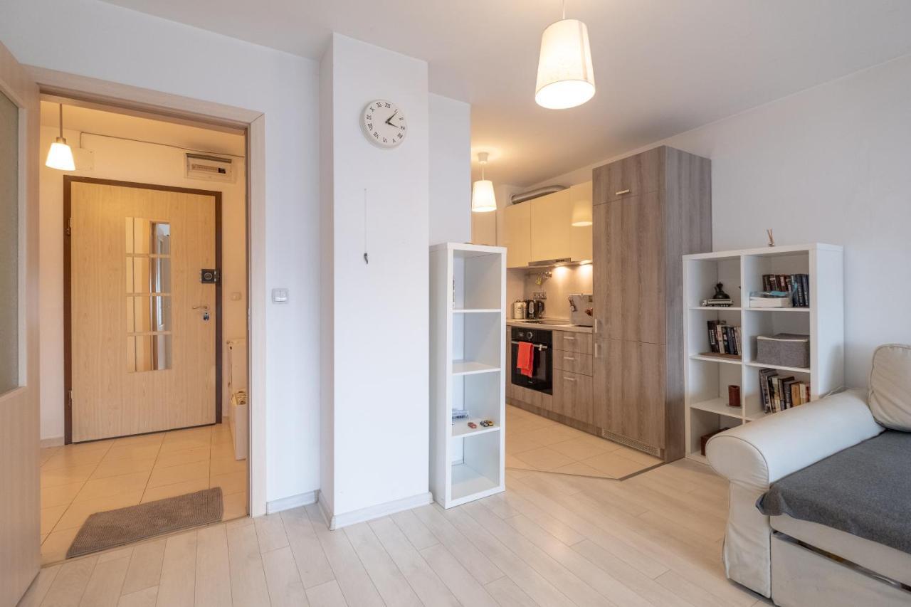 Apartment Sunny 1- Bdr In Banishora District